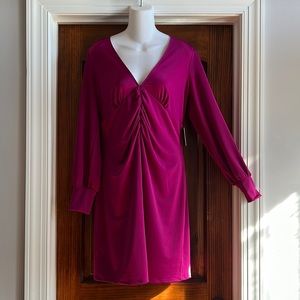 NWT Express Women’s Trendy Dress  Raspberry Color Size Medium